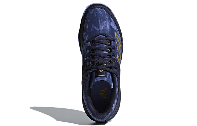 Purchase (W) adidas Ligra 5 Hallenschuhe BB6127
