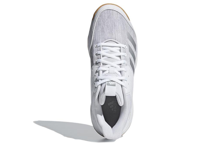 Purchase (W) adidas Ligra 6 Schoenen CP8907
