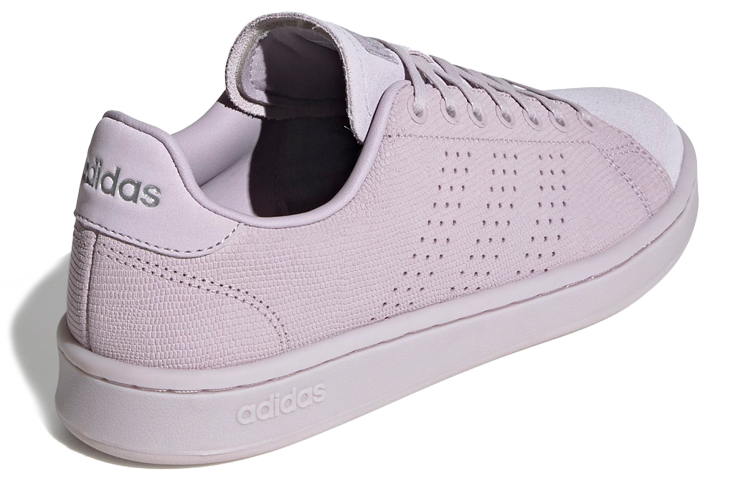 Shop (W) adidas neo Advantage Ungu EE7493