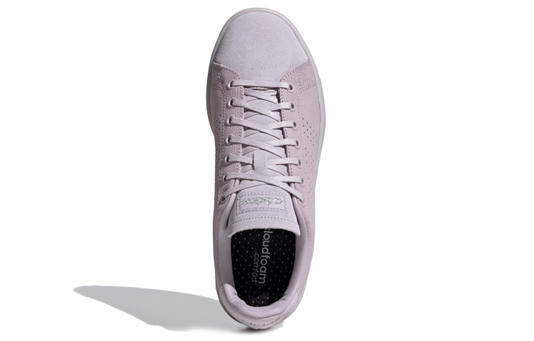 Purchase (W) adidas neo Advantage Ungu EE7493