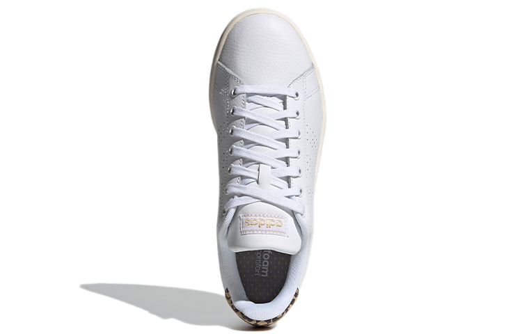 Purchase (W) Zapatillas adidas Neo Advantage Blanco/Marrón FY9101