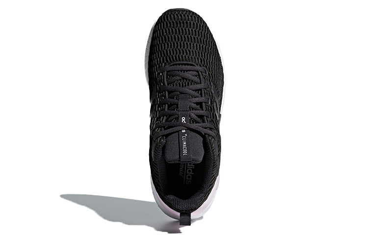 Purchase adidas neo Questar CC 女款 黑白粉轉變為 adidas neo Questar CC 女版 黑白粉