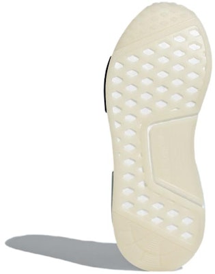 (W) アディダス NMD_R1 「ロースチール」 CQ2013 Details for (W) アディダス NMD_R1 「ロースチール」 CQ2013