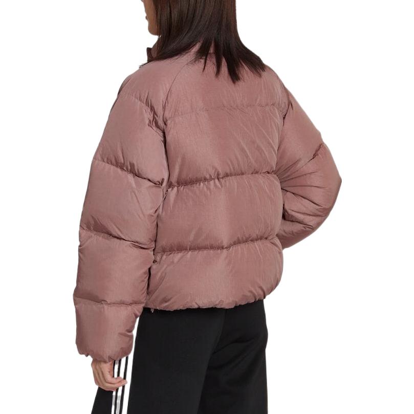 Shop (W) adidas Originals 拼色條紋短版羽絨外套 淺棕紅 HK5237