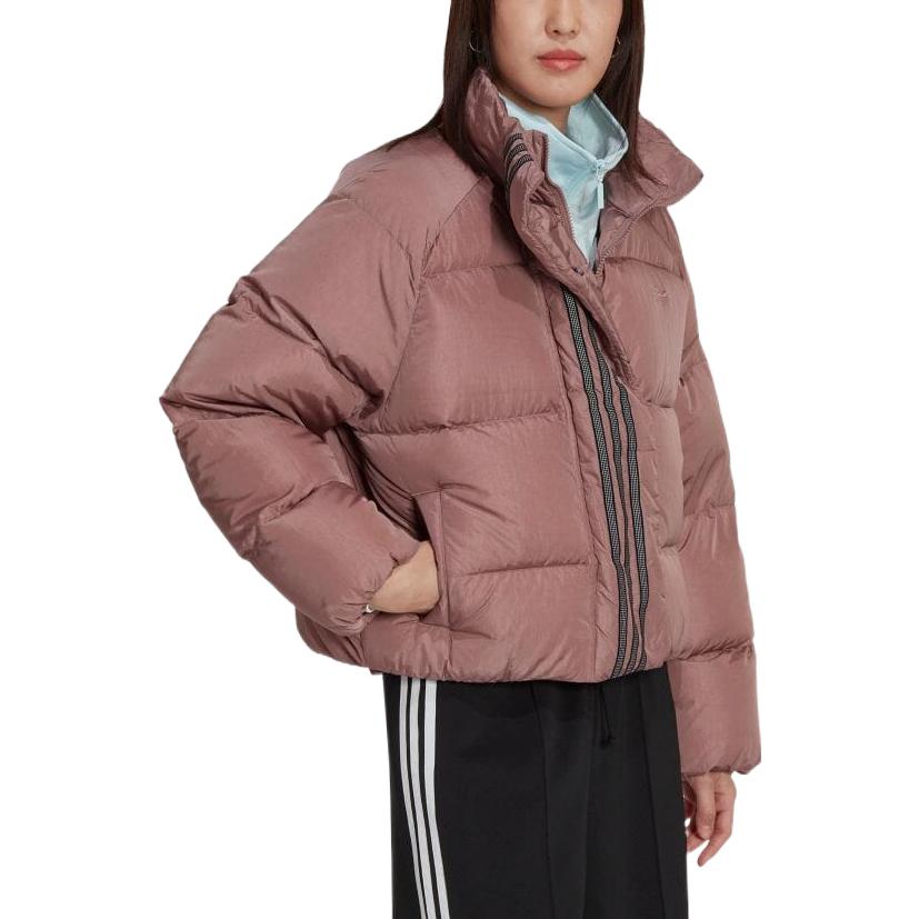 Purchase (W) adidas Originals 拼色條紋短版羽絨外套 淺棕紅 HK5237