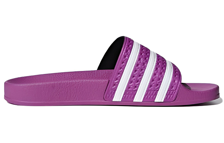 Order (W) アディレッタ スライド "パープルコンフォート" CG6539
