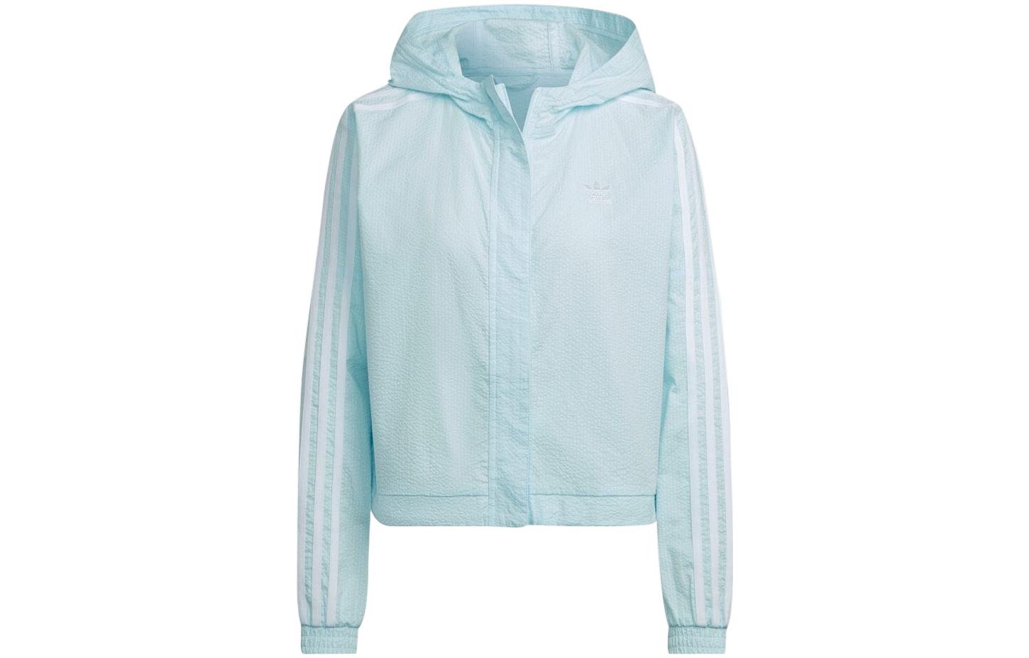 (Women) adidas Originals Blue Striped Track Jacket HL9305 圖 2