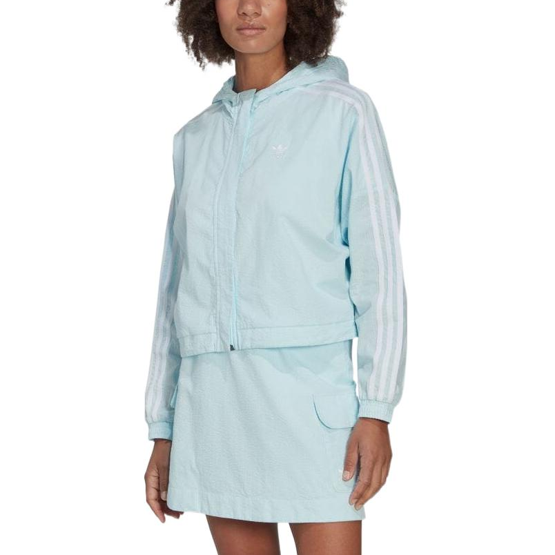 (Women) adidas Originals Blue Striped Track Jacket HL9305 圖 3