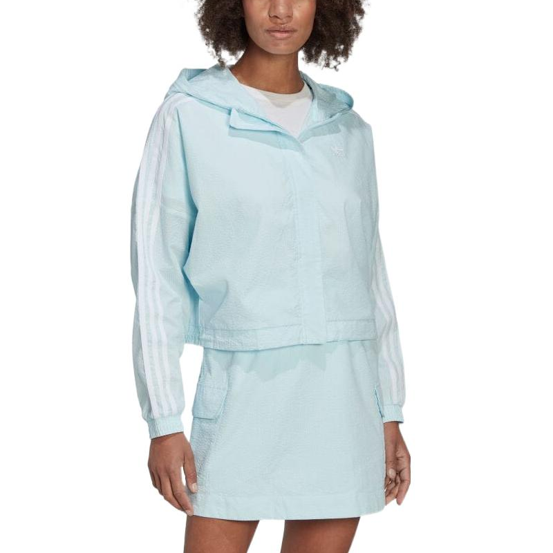 (Women) adidas Originals Blue Striped Track Jacket HL9305 圖 4