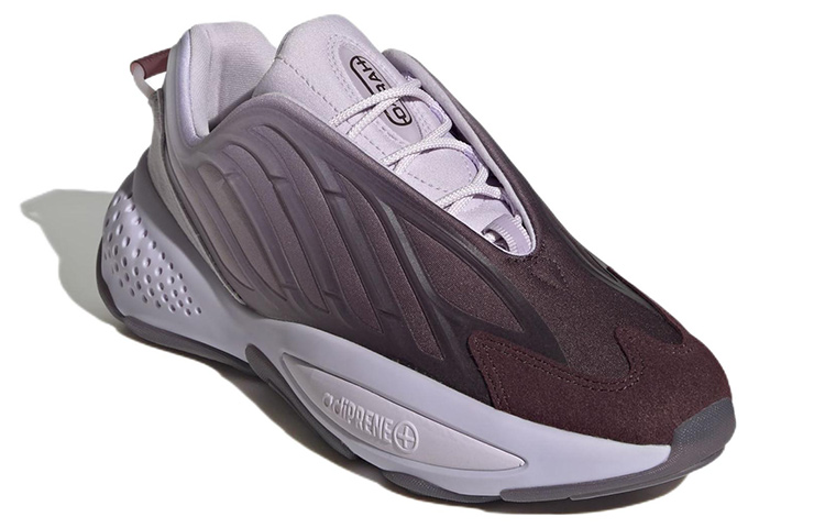 Lookbook (W) 아디다스 오즈라 '퍼플 틴트' (Adidas Ozrah '퍼플 틴트') GW6855