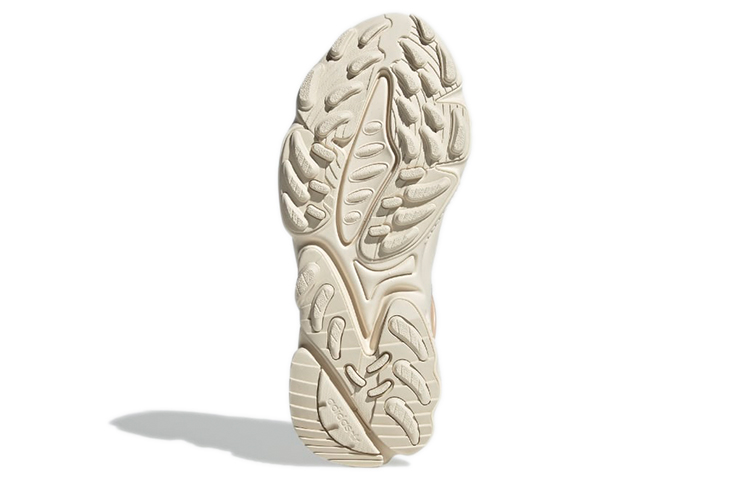 Details for (W) adidas Ozweego TR Zapatillas Trail GX1810