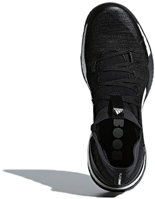 (W) 아디다스 퓨어부스트 X TR 3.0 '코어 블랙' CG3528 Purchase (W) 아디다스 퓨어부스트 X TR 3.0 '코어 블랙' CG3528