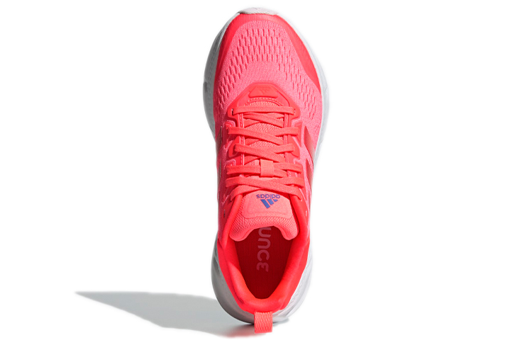 Purchase （女款）adidas Questar「酸性紅 淡粉」GZ0612