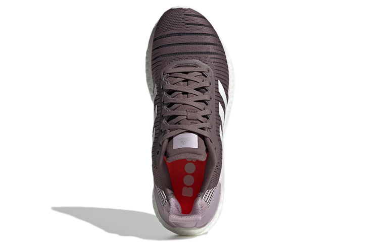 Purchase adidas Solar Glide 19 女款 紫色