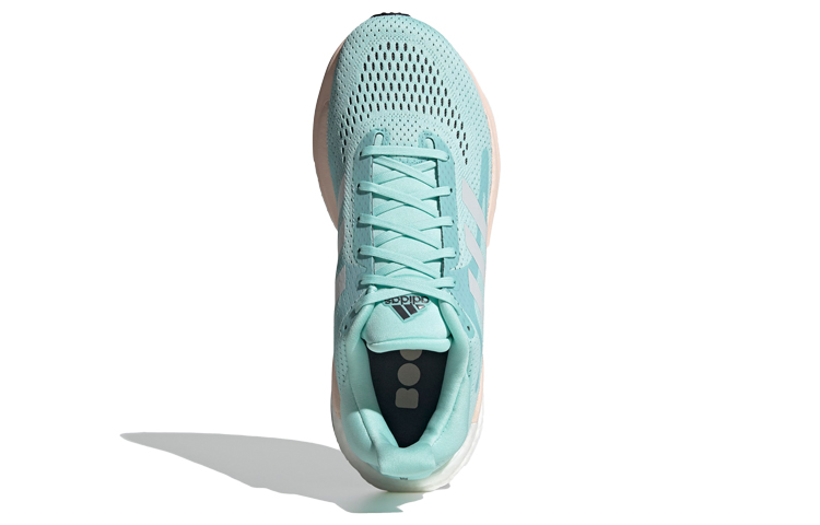 Purchase adidas 低筒 跑步鞋 女款 綠白