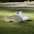 (W) adidas Solarmotion BOA 24 'Perak Metalik' IF0287
