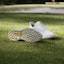 Shop (W) adidas Solarmotion BOA 24 'Perak Metalik' IF0287