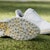 (W) adidas Solarmotion BOA 24 'Perak Metalik' IF0287