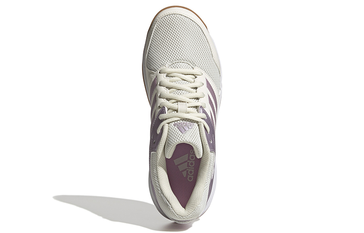 Purchase (W) adidas Speedcourt Schoenen GX3766