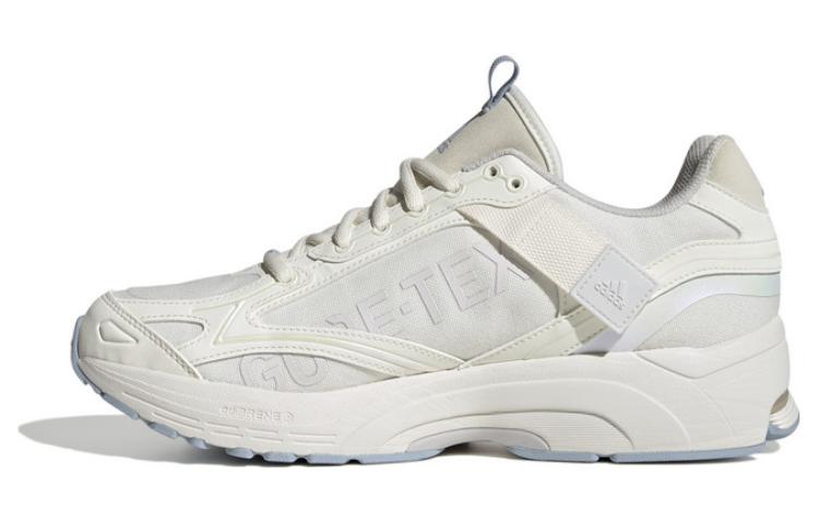 (Women) adidas Spiritain 2000 GORE-TEX 'Clear White Wonder Blue' IE6060