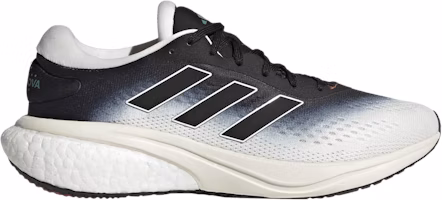 (Women) adidas Supernova 2.0 'Non Dyed Black Gradient' HQ9944 (Women) adidas Supernova 2.0 'Non Dyed Black Gradient' HQ9944