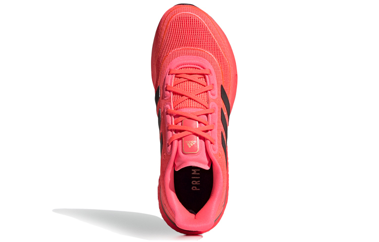 Beli (Women) adidas Supernova 'Signal Pink' FW0704 Novelship