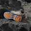Purchase (W) Adidas Terrex Skychaser AX5 GTX Senderismo Taupe/Blanco/Glow Azul HP7169