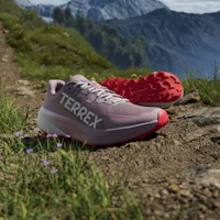 Cheap (W) adidas Terrex Agravic 3 越野跑鞋 二手 酒紅/雲白/純紅寶石 JP9799