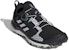 (W) adidas Terrex Agravic BOA 'Hitam Putih' FY9458