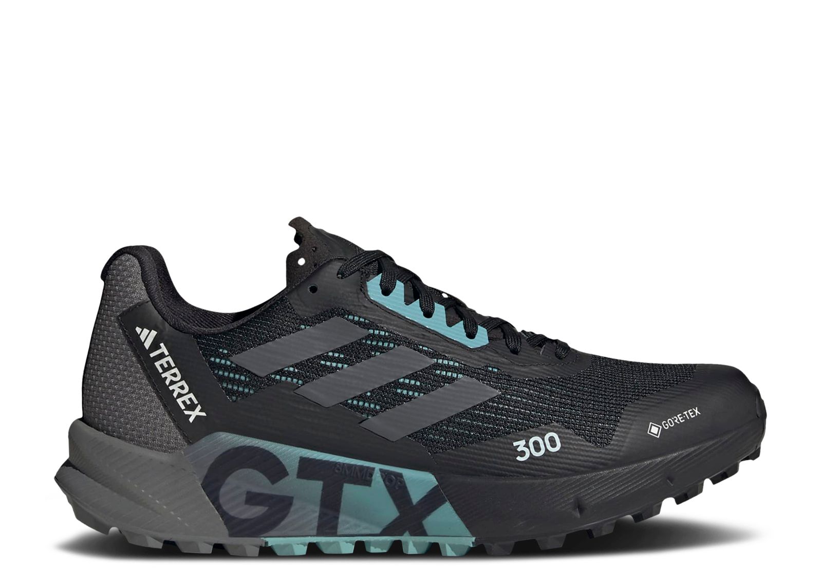 (Women) adidas Terrex Agravic Flow 2.0 Gore-Tex 'Black Light Blue' HR1145