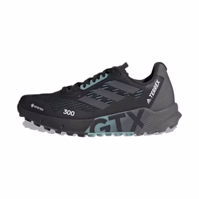 (W) adidas Terrex Agravic Flow 2.0 GTX 'Black Grey Mint Ton'