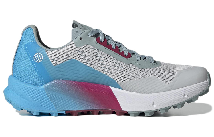 Order (W) adidas Terrex Agravic Flow 2.0 Gore-Tex ''Gris Dash Bleu Ciel'' H03384