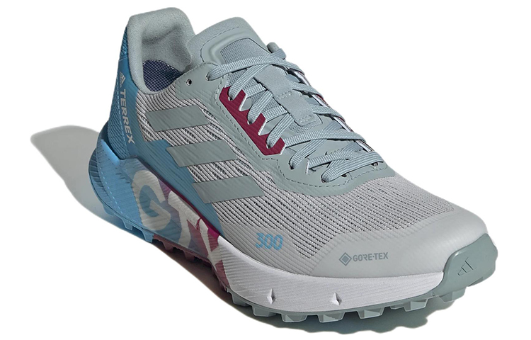 Lookbook (W) adidas Terrex Agravic Flow 2.0 Gore-Tex ''Gris Dash Bleu Ciel'' H03384
