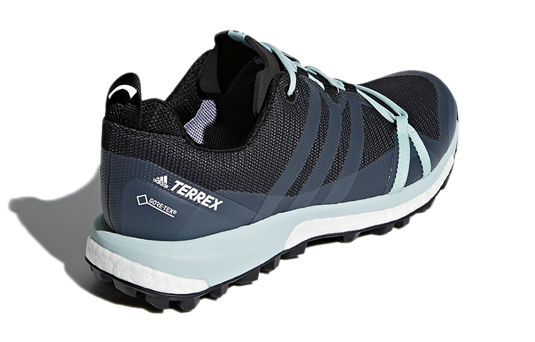 Shop (W) adidas Terrex Agravic GTX ''Noir Charbon Gris'' CM7648