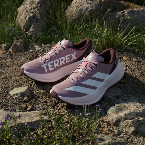 Purchase (Women) adidas Terrex Agravic SL Trail Running Shoes Magic Mauve/Cloud White/Maroon KH8803