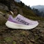 Lookbook (Women) Adidas TERREX Agravic Speed Trail Running Shoes Powder Plum/Aurora Plum/Lucid Red JQ1617