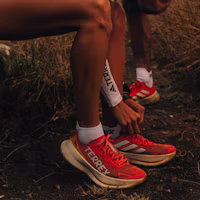 Lookbook (W) adidas Terrex Agravic Speed Ultra 越野跑鞋 琥珀色/水晶白/半炫粉 IF6597