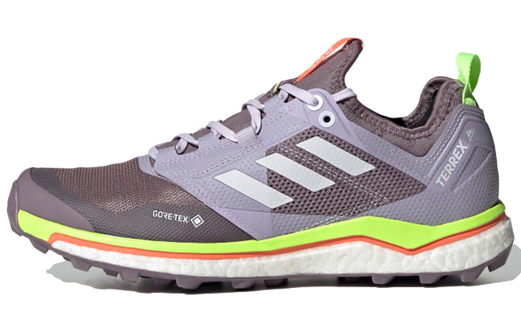 (Women) adidas Terrex Agravic Xt Gore-Tex 'Purple Green' EF2161
