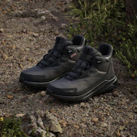 Purchase (W) Adidas Terrex Anylander Climawarm+ 登山鞋 碳黑/核心黑/灰六 JH8777