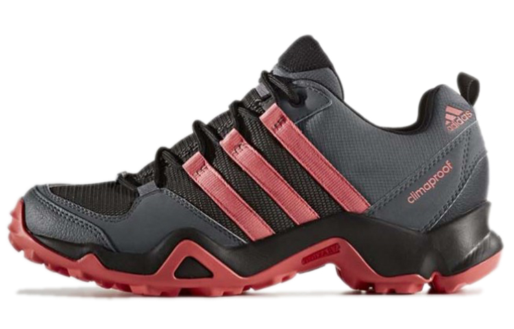 (Women) adidas Terrex AX2 'Gray Pink' BB1681