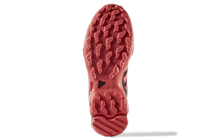 Details for (W) adidas Terrex AX2 ''Grigio Rosa'' BB1681
