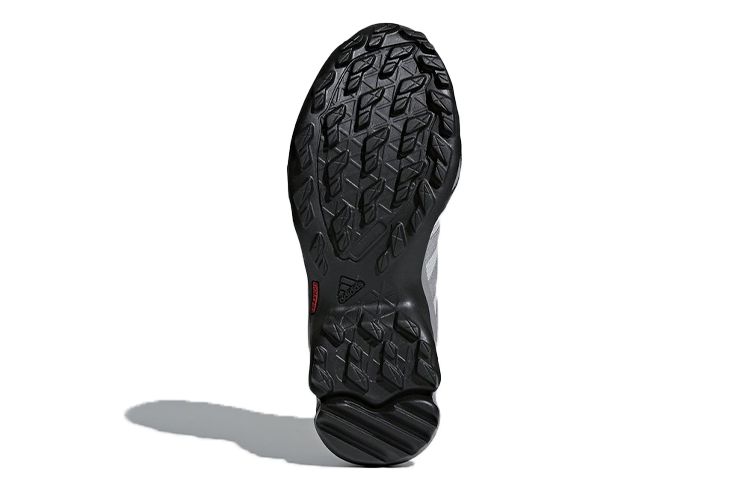 Details for (W) adidas Terrex AX2R ''Grigio Corallo'' CM7722