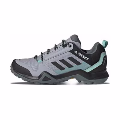 (W) adidas Terrex AX3 GORE-TEX 'Halo Silver Black Mint'