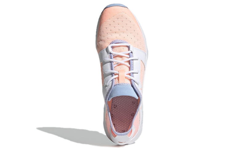 Purchase (W) adidas Terrex Cc Voyager Sleek ''Rosa Blu'' EH1146