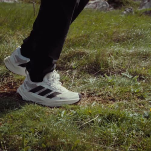 Order (W) adidas Terrex Free Hiker 3 Low GTX 登山鞋 白黑/雲白/米白配色 KI8279