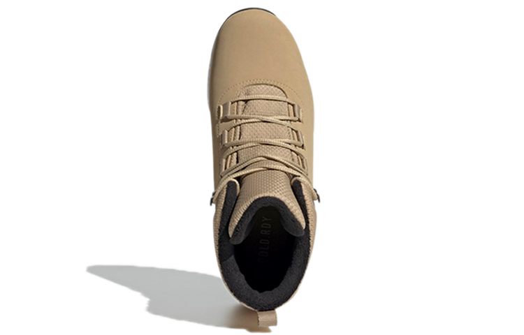 Purchase (W) adidas Terrex Pathmaker CW ''Braun'' FZ3007