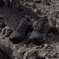 Details for (W) Adidas Terrex Skychaser AX5 GORE-TEX 登山鞋 碳黑/核心黑/閃光水藍 JQ2222