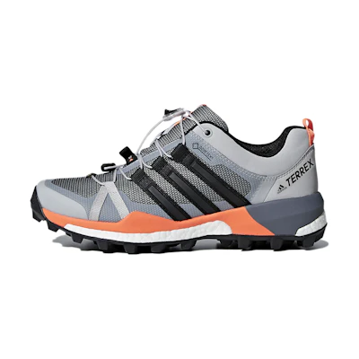 (W) adidas Terrex Skychaser GTX 'Graphite Grey'