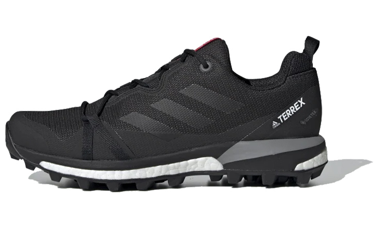 (Women) adidas Terrex Skychaser LT Gore-Tex 'Carbon' F36119