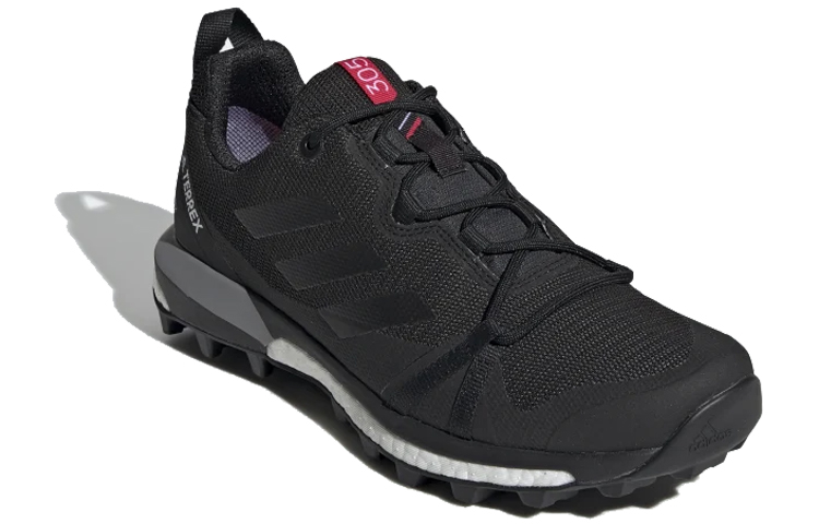 Order (W) adidas Terrex Skychaser LT Gore-Tex ''Carbon'' Wanderschuhe F36119